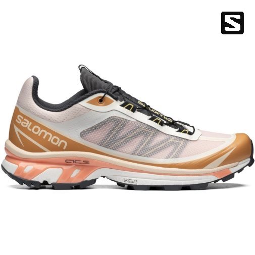 Tenis Salomon Xt-6 Ft Feminino Multicoloridas | PT V75086